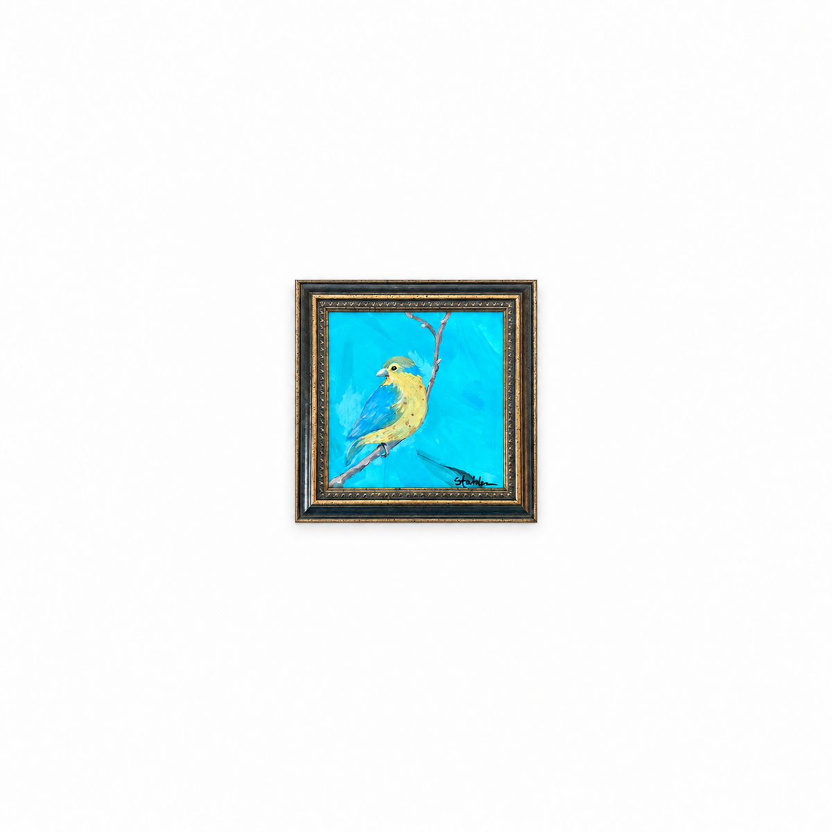 Little Bird