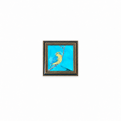 Little Bird