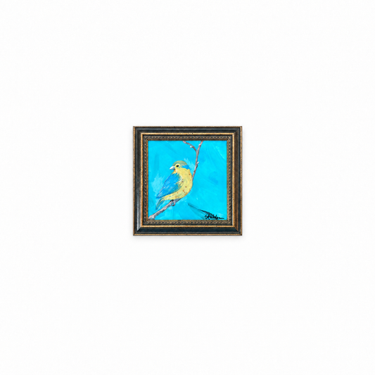 Little Bird