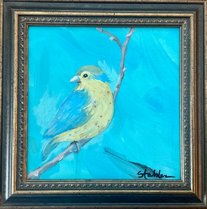Little Bird