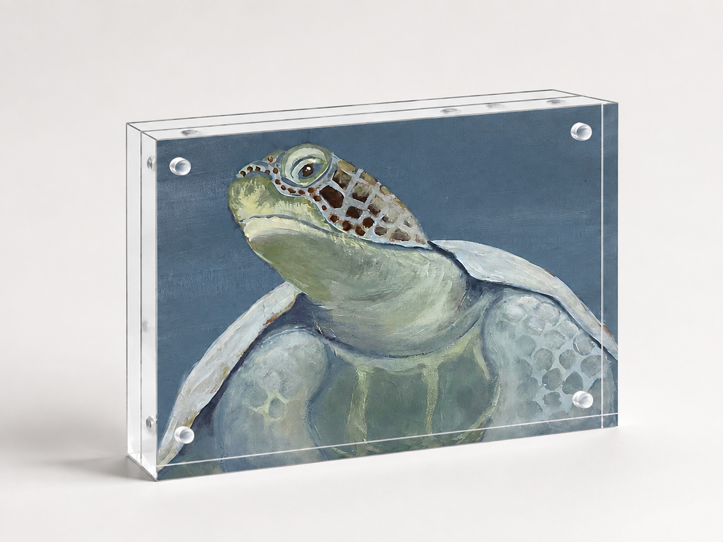 Shell Yeah, I’m Fabulous! — Fine Art Print